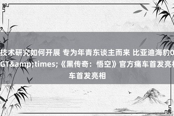 技术研究如何开展 专为年青东谈主而来 比亚迪海豹06GT&times;《黑传奇：悟空》官方痛车首发亮相