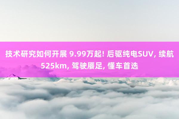 技术研究如何开展 9.99万起! 后驱纯电SUV, 续航525km, 驾驶餍足, 懂车首选