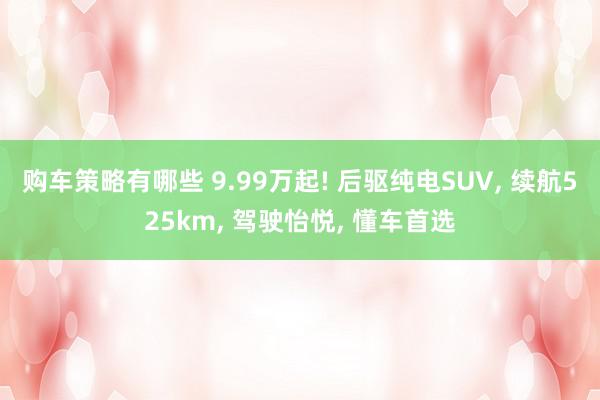 购车策略有哪些 9.99万起! 后驱纯电SUV, 续航525km, 驾驶怡悦, 懂车首选