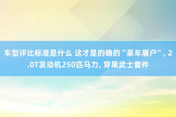 车型评比标准是什么 这才是的确的“豪车屠户”, 2.0T发动机250匹马力, 穿黑武士套件