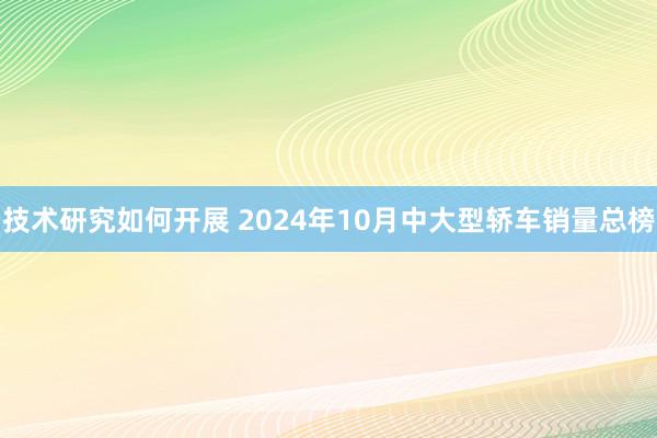 技术研究如何开展 2024年10月中大型轿车销量总榜