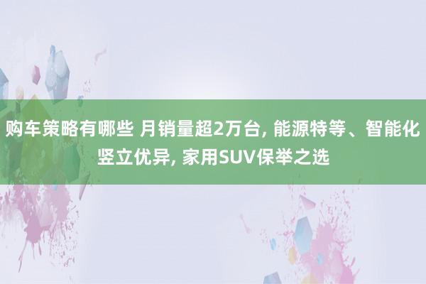 购车策略有哪些 月销量超2万台, 能源特等、智能化竖立优异, 家用SUV保举之选