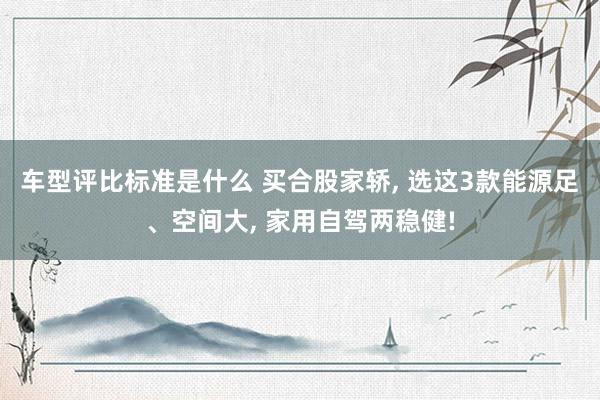 车型评比标准是什么 买合股家轿, 选这3款能源足、空间大, 家用自驾两稳健!