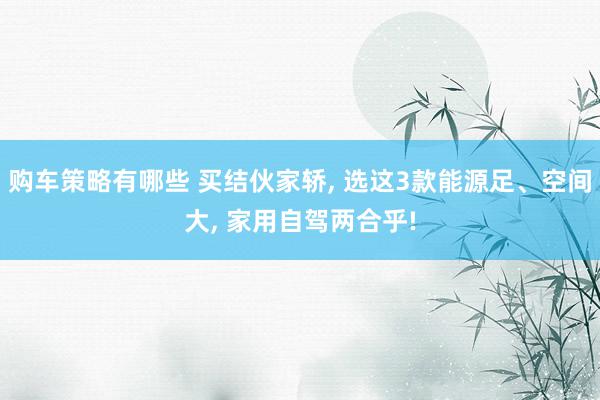 购车策略有哪些 买结伙家轿, 选这3款能源足、空间大, 家用自驾两合乎!