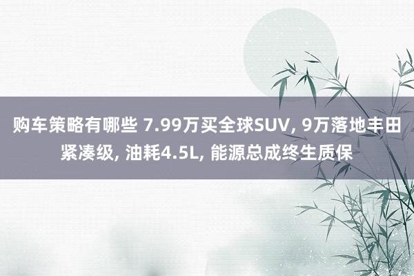 购车策略有哪些 7.99万买全球SUV, 9万落地丰田紧凑级, 油耗4.5L, 能源总成终生质保