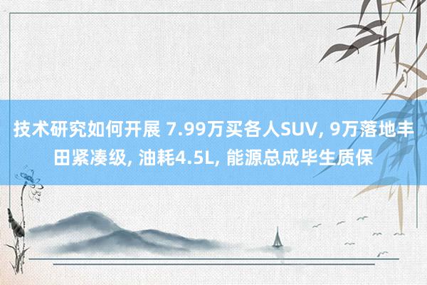 技术研究如何开展 7.99万买各人SUV, 9万落地丰田紧凑级, 油耗4.5L, 能源总成毕生质保