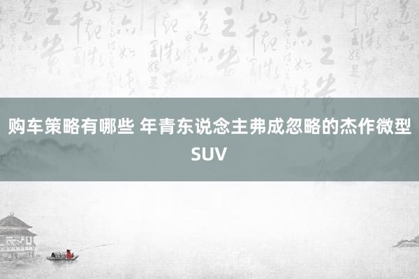 购车策略有哪些 年青东说念主弗成忽略的杰作微型SUV