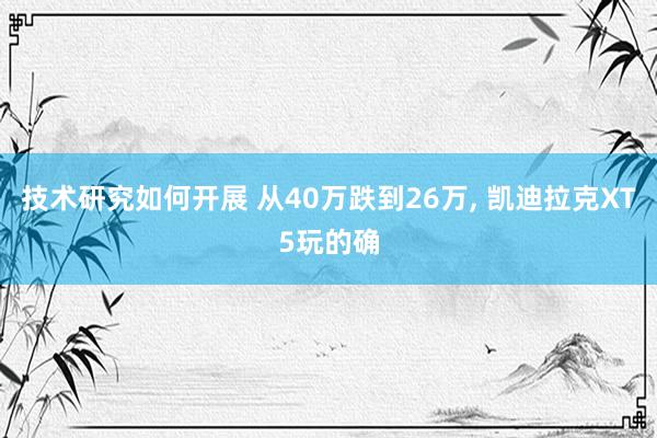 技术研究如何开展 从40万跌到26万, 凯迪拉克XT5玩的确