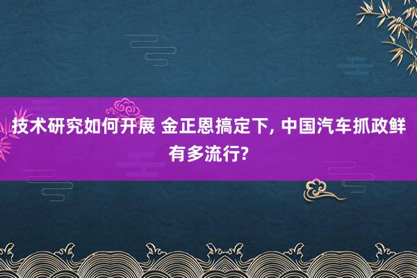 技术研究如何开展 金正恩搞定下, 中国汽车抓政鲜有多流行?