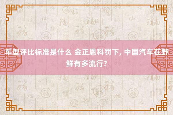 车型评比标准是什么 金正恩科罚下, 中国汽车在野鲜有多流行?