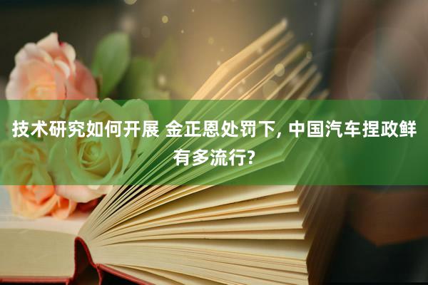 技术研究如何开展 金正恩处罚下, 中国汽车捏政鲜有多流行?