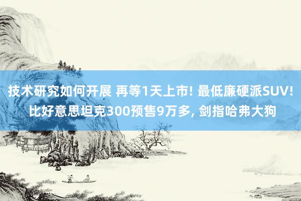 技术研究如何开展 再等1天上市! 最低廉硬派SUV! 比好意思坦克300预售9万多, 剑指哈弗大狗