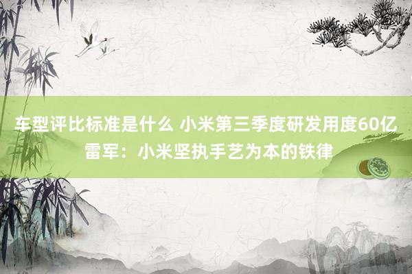 车型评比标准是什么 小米第三季度研发用度60亿 雷军：小米坚执手艺为本的铁律