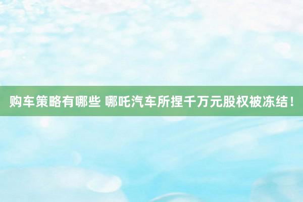 购车策略有哪些 哪吒汽车所捏千万元股权被冻结！