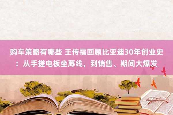 购车策略有哪些 王传福回顾比亚迪30年创业史：从手搓电板坐蓐线，到销售、期间大爆发