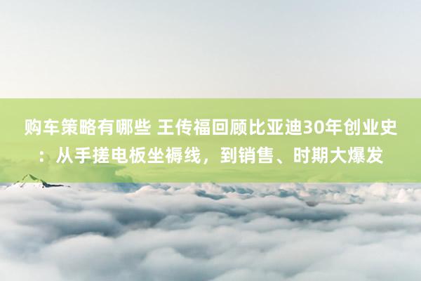 购车策略有哪些 王传福回顾比亚迪30年创业史：从手搓电板坐褥线，到销售、时期大爆发