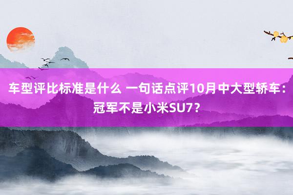 车型评比标准是什么 一句话点评10月中大型轿车：冠军不是小米SU7？