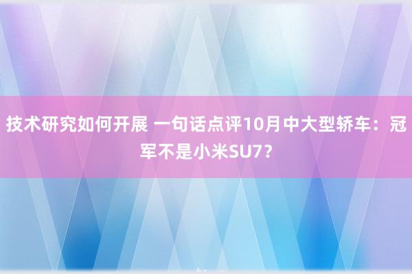 技术研究如何开展 一句话点评10月中大型轿车：冠军不是小米SU7？