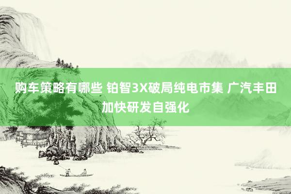 购车策略有哪些 铂智3X破局纯电市集 广汽丰田加快研发自强化