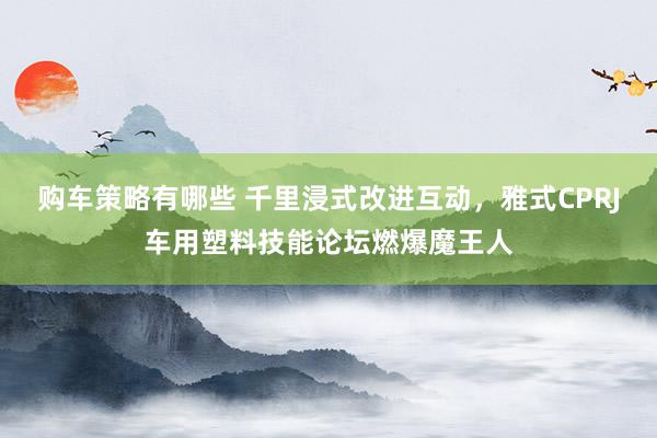 购车策略有哪些 千里浸式改进互动，雅式CPRJ车用塑料技能论坛燃爆魔王人