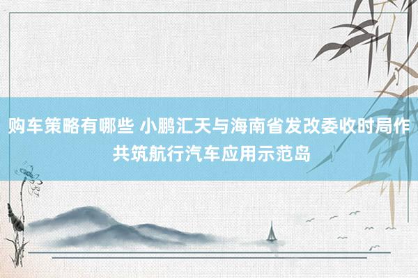 购车策略有哪些 小鹏汇天与海南省发改委收时局作 共筑航行汽车应用示范岛