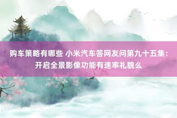 购车策略有哪些 小米汽车答网友问第九十五集：开启全景影像功能有速率礼貌么