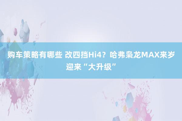 购车策略有哪些 改四挡Hi4？哈弗枭龙MAX来岁迎来“大升级”