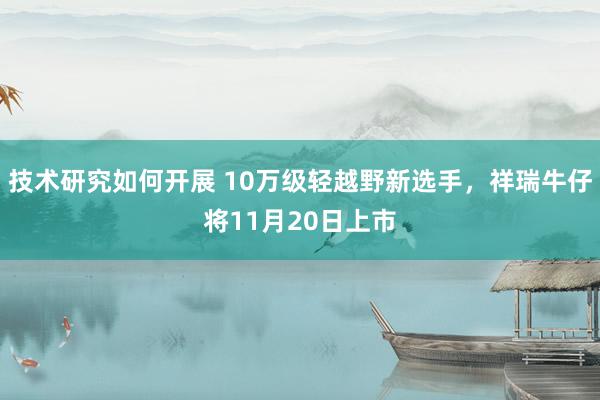 技术研究如何开展 10万级轻越野新选手，祥瑞牛仔将11月20日上市