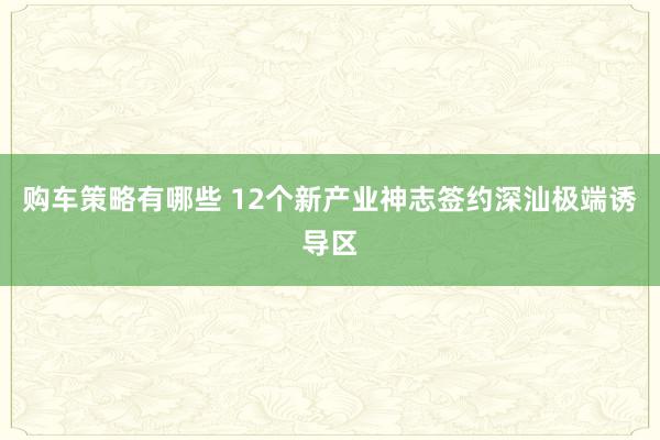 购车策略有哪些 12个新产业神志签约深汕极端诱导区