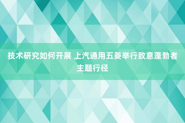 技术研究如何开展 上汽通用五菱举行致意蓬勃者主题行径