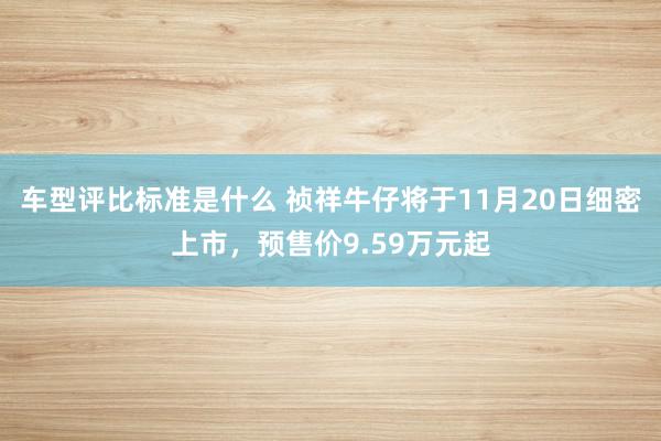 车型评比标准是什么 祯祥牛仔将于11月20日细密上市，预售价9.59万元起