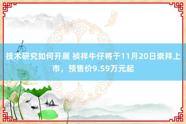 技术研究如何开展 祯祥牛仔将于11月20日崇拜上市，预售价9.59万元起