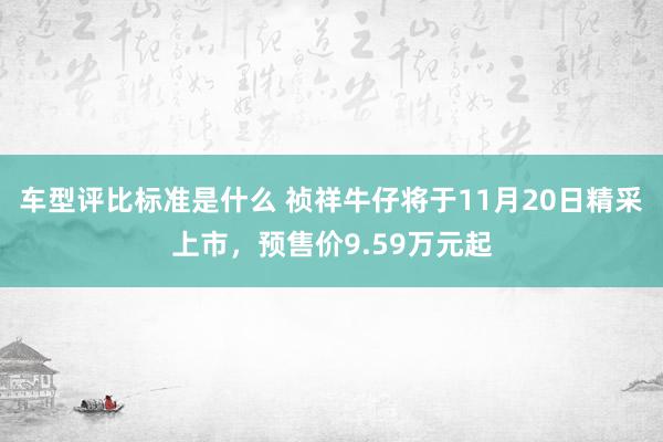 车型评比标准是什么 祯祥牛仔将于11月20日精采上市，预售价9.59万元起