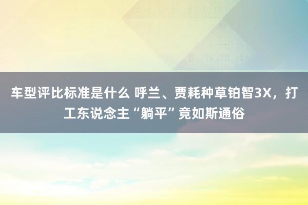 车型评比标准是什么 呼兰、贾耗种草铂智3X，打工东说念主“躺平”竟如斯通俗